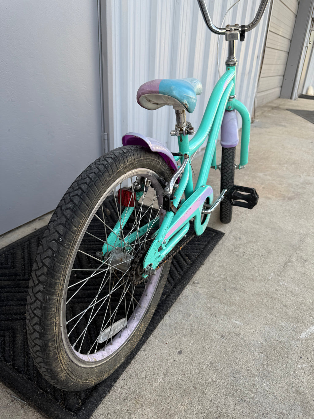 Schwinn Girls Bicycle 20”